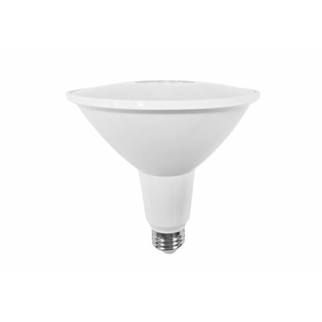 Halco 80248 13W PAR38 Warm White LED Light Bulb