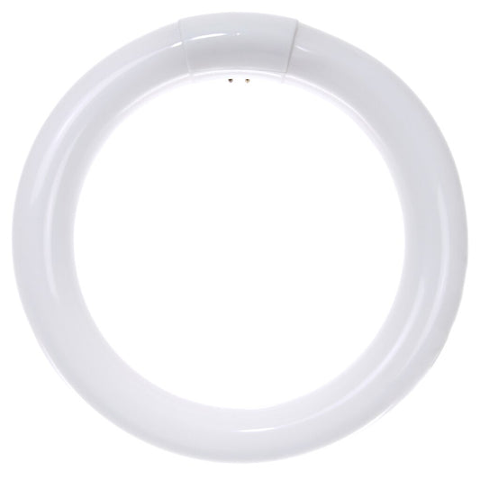 Sunlite 41316-SU 22W T9 Circline Cool White Fluorescent Light Bulb