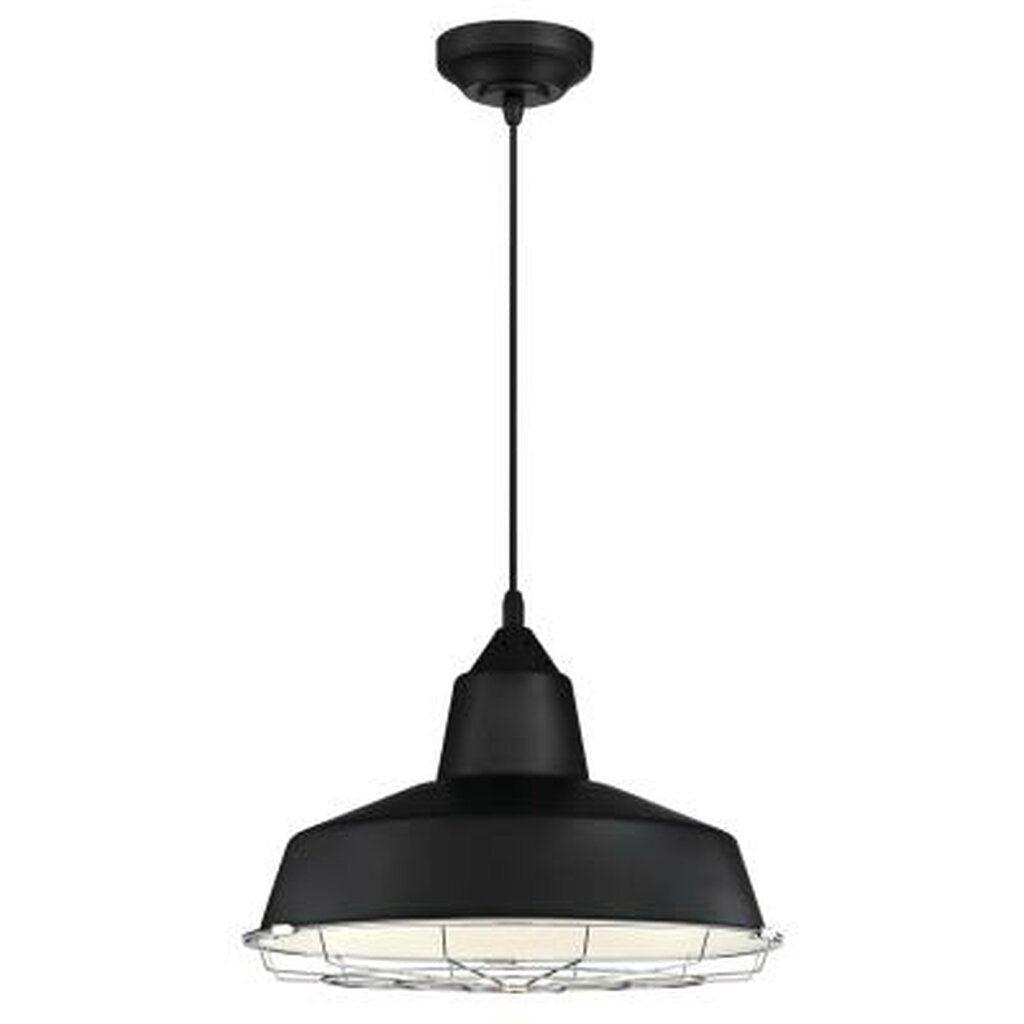 Westinghouse 6131900 20W LED Pendant Dimmable Fixture Academy Indoor