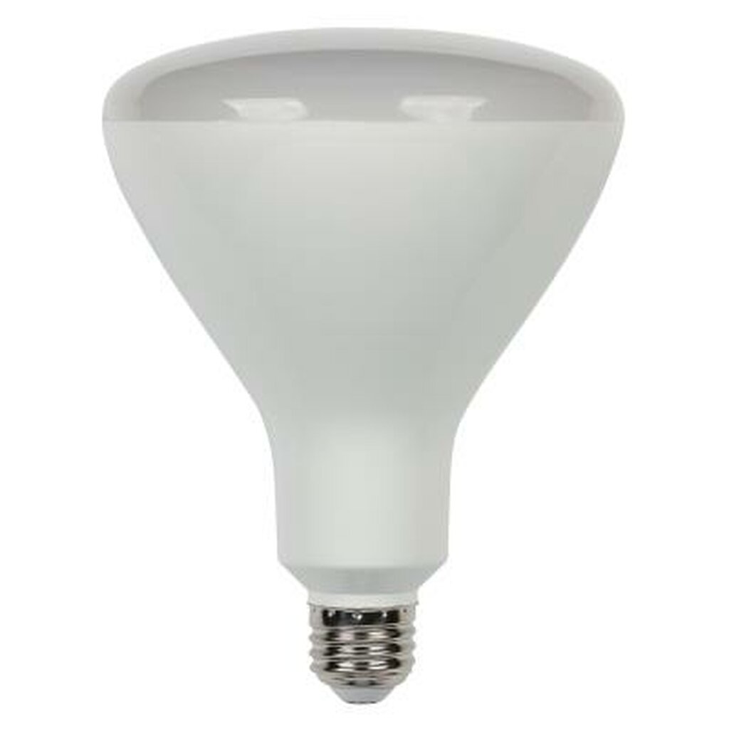Westinghouse 5014000 16.5W R40 Daylight LED Light Bulb