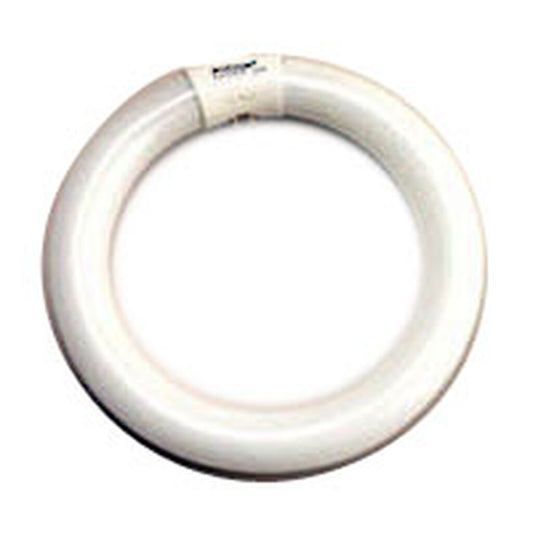 12 pack - ProLume 37504 30W T9 Circline Fluorescent Light Bulb