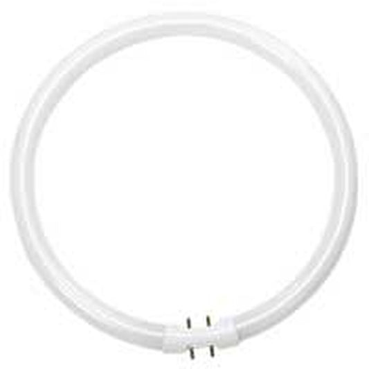 20 pack - ProLume 109082 22W T5 Circline Cool White Fluorescent