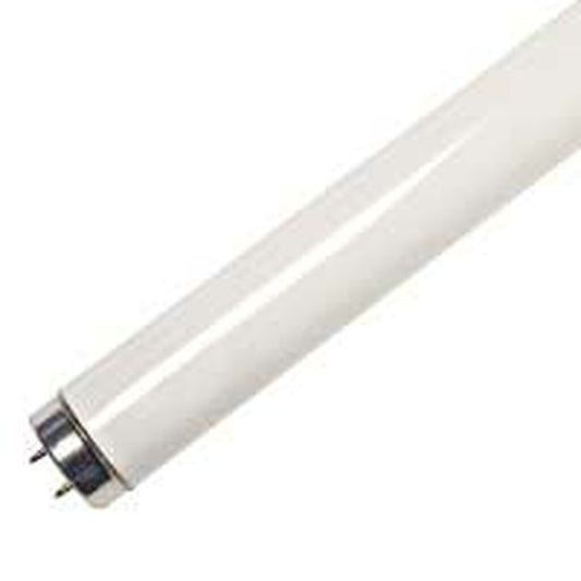 30 pack - Major 273599 40W T12 Daylight Fluorescent Light Bulb