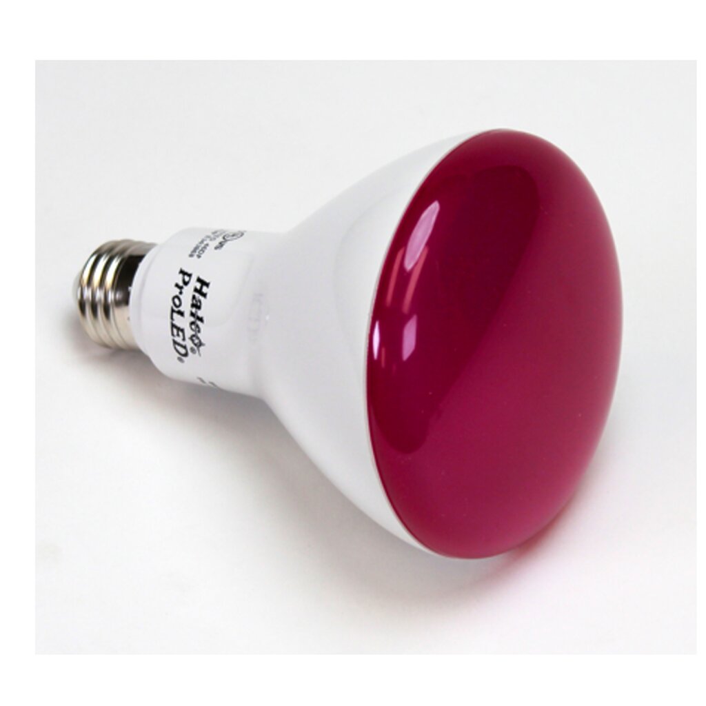 Halco 80988 8W BR30 Soft Pink LED Light Bulb