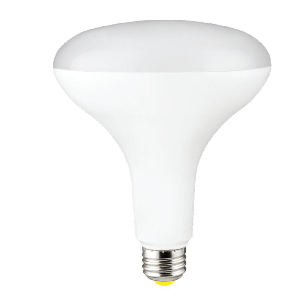 Halco 80289 13W BR40 LED Light Bulb