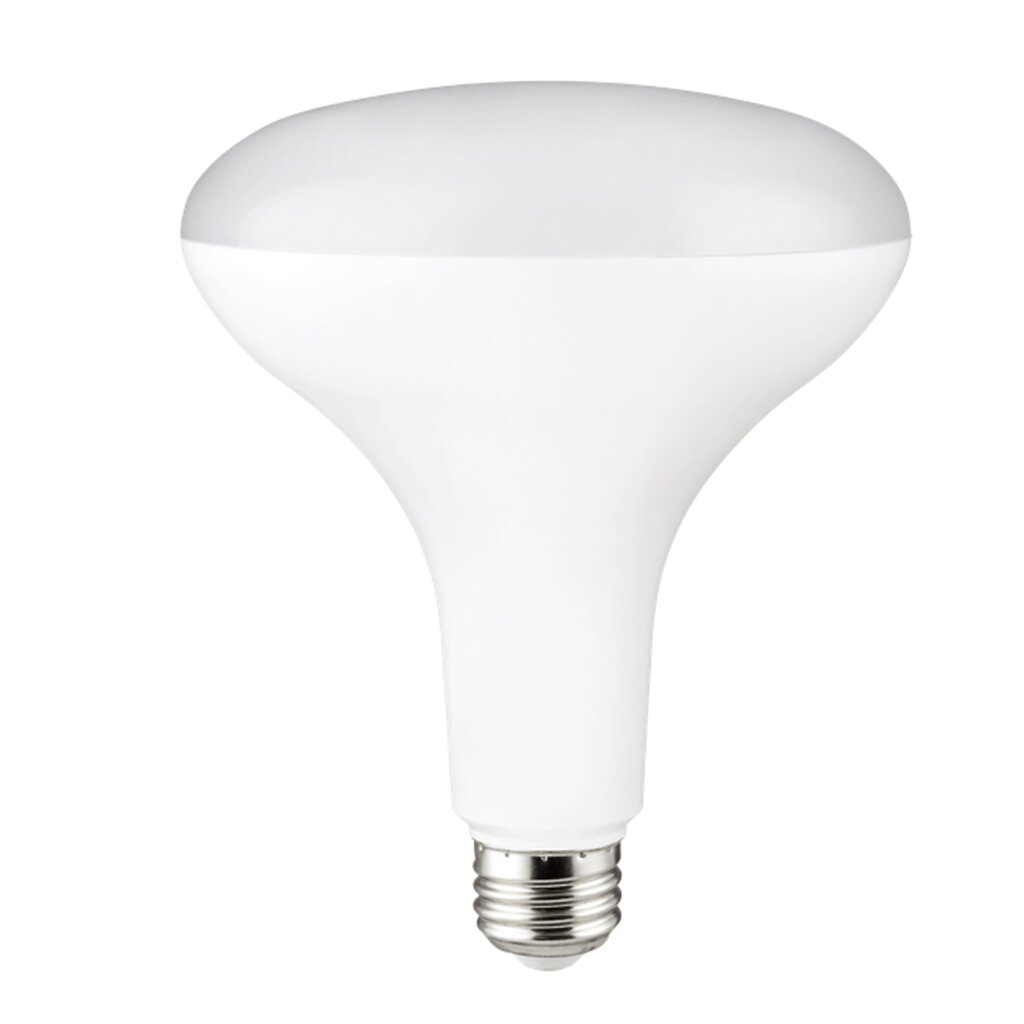 Halco 80282 13W BR40 LED Light Bulb