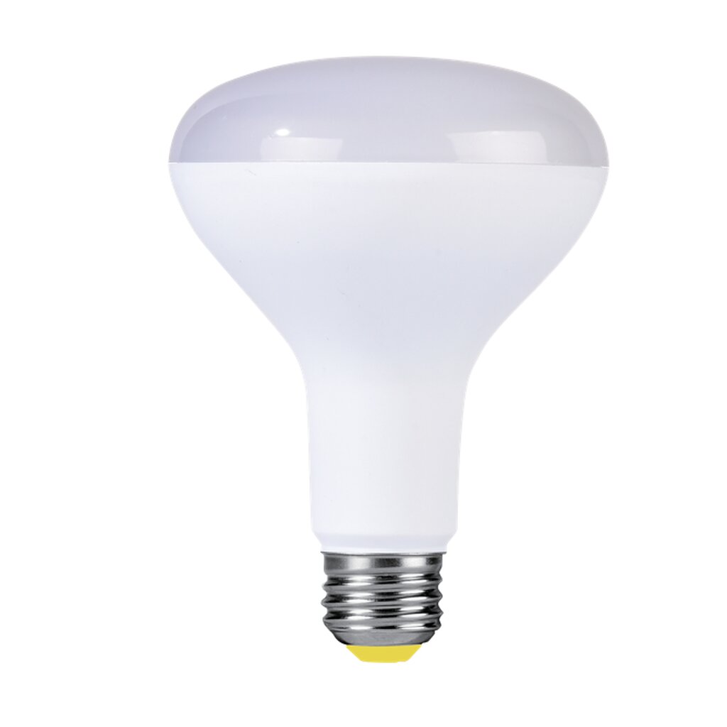Halco 80281 9.5W BR30 LED Light Bulb