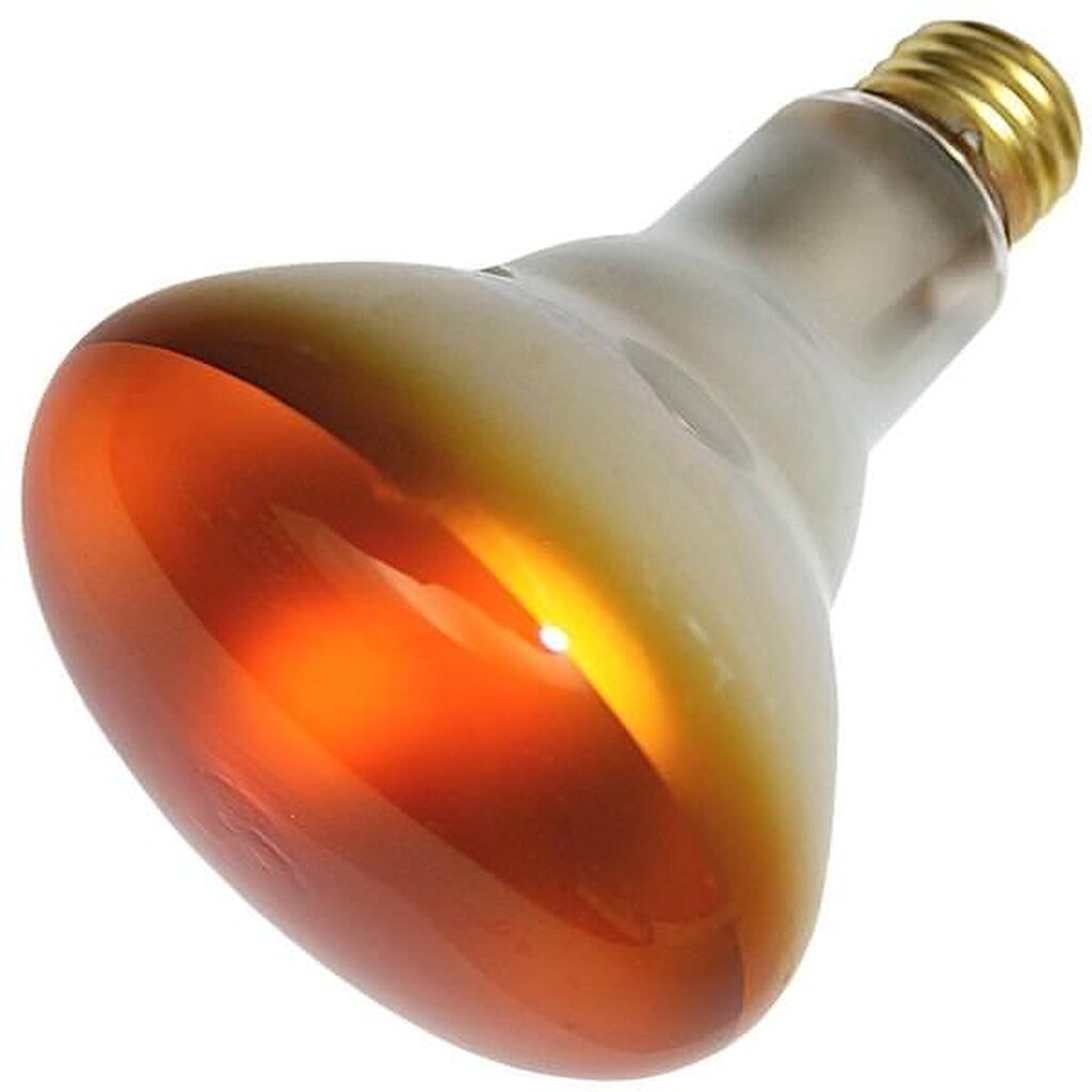 Prism 404028 65W BR30 Amber Incandescent Light Bulb