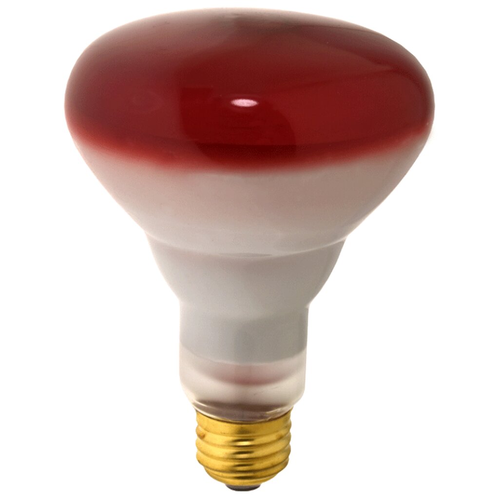 Prism 404049 65W BR30 Red Incandescent Light Bulb