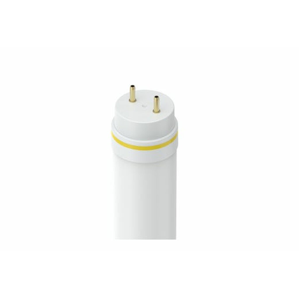 25 pack - Halco 87213 12W T8 Daylight LED Light Bulb