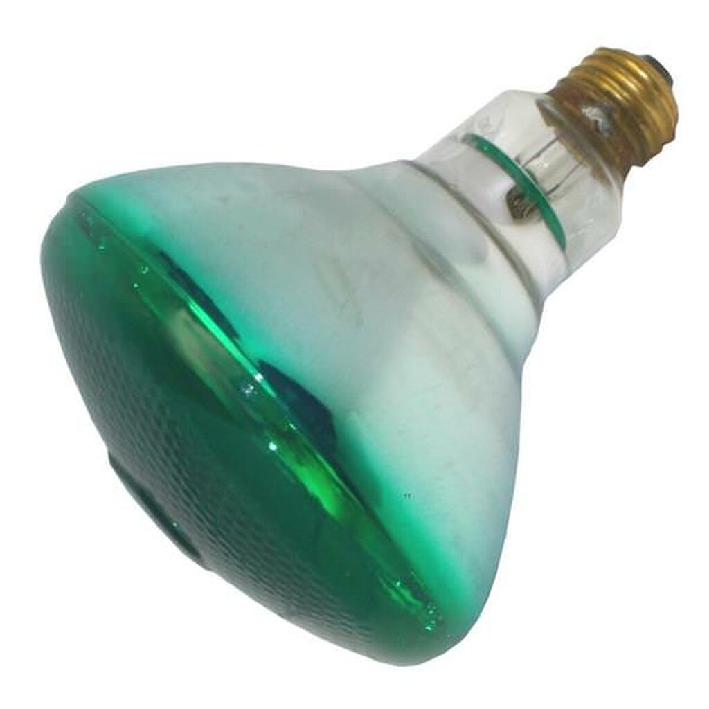 Halco 404114 100W BR38 Green Incandescent Light Bulb