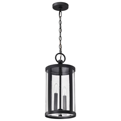 Satco 60-8115 Fixture Broadstone - 2 Light Hanging Lantern Matte Black