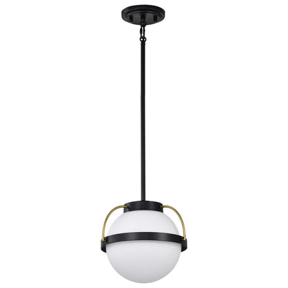 Satco 60-7773 Fixture Lakeshore 1 Light Small Pendant - Matte Black