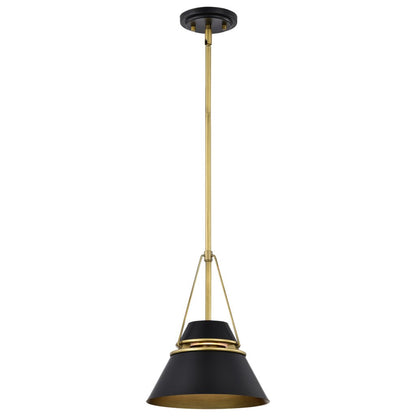 Satco 60-7767 Fixture Adina 1 Light Small Pendant - Matte Black and