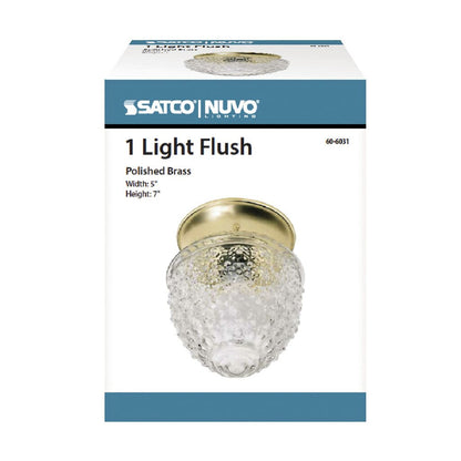 Satco 60-6031 Fixture 1 Light - 6 in. Ceiling Clear Pineapple Glass