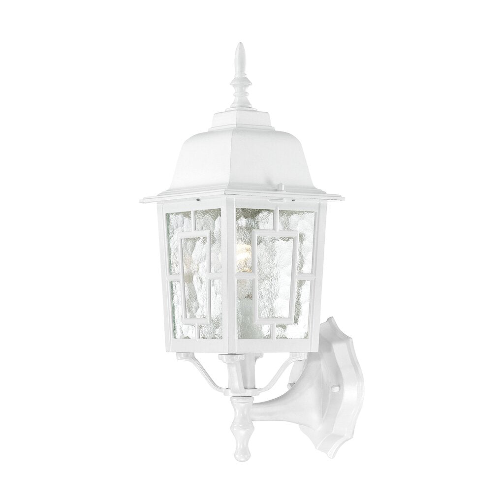 Satco 60-3487 Fixture Banyan - 1 Light 17 in. Outdoor Wall with Clear