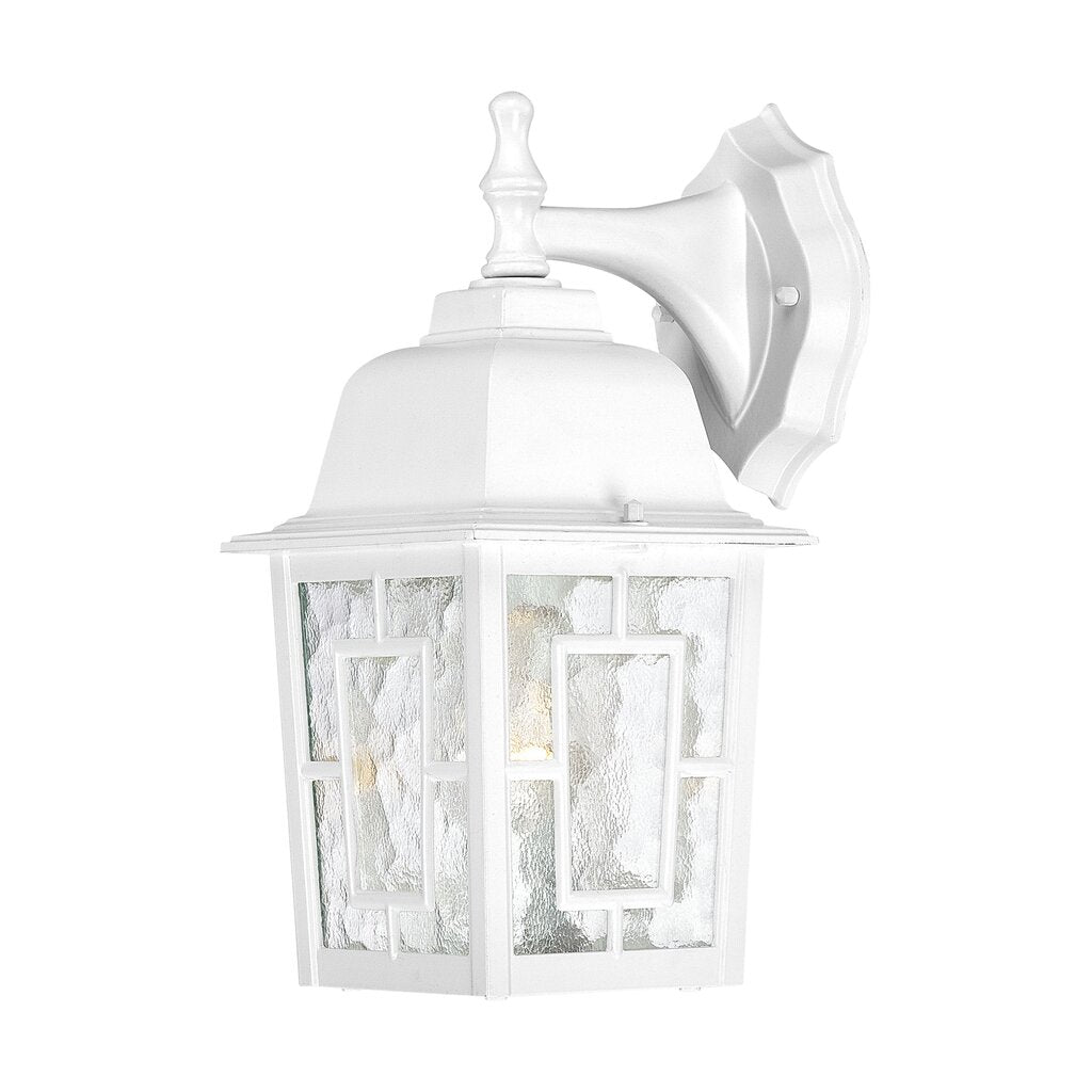Satco 60-3484 Fixture Banyan - 1 Light 12 in. Outdoor Wall with Clear