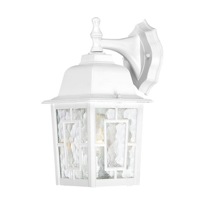 Satco 60-3484 Fixture Banyan - 1 Light 12 in. Outdoor Wall with Clear