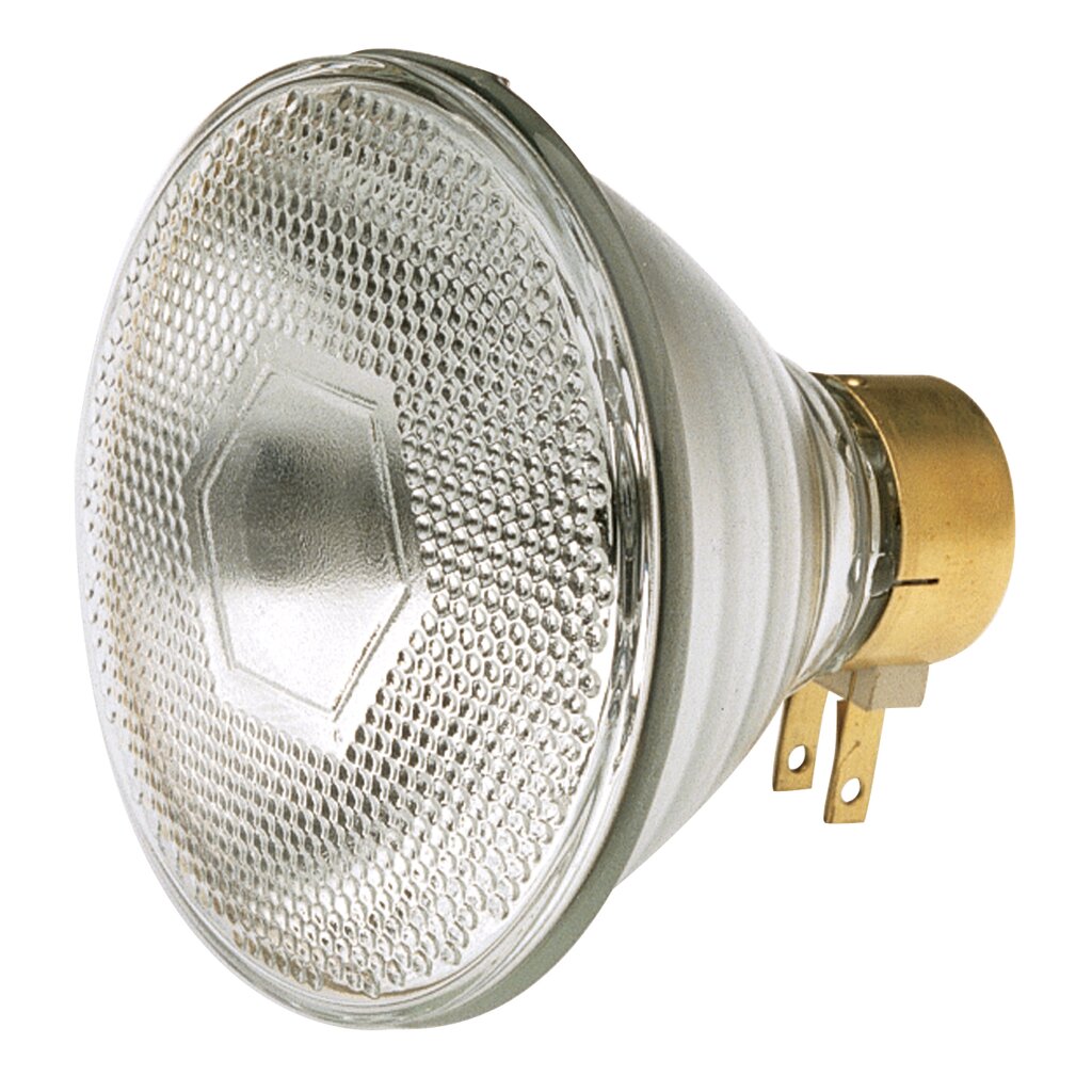 12 pack - GE S4800 65W PAR38 Incandescent Light Bulb