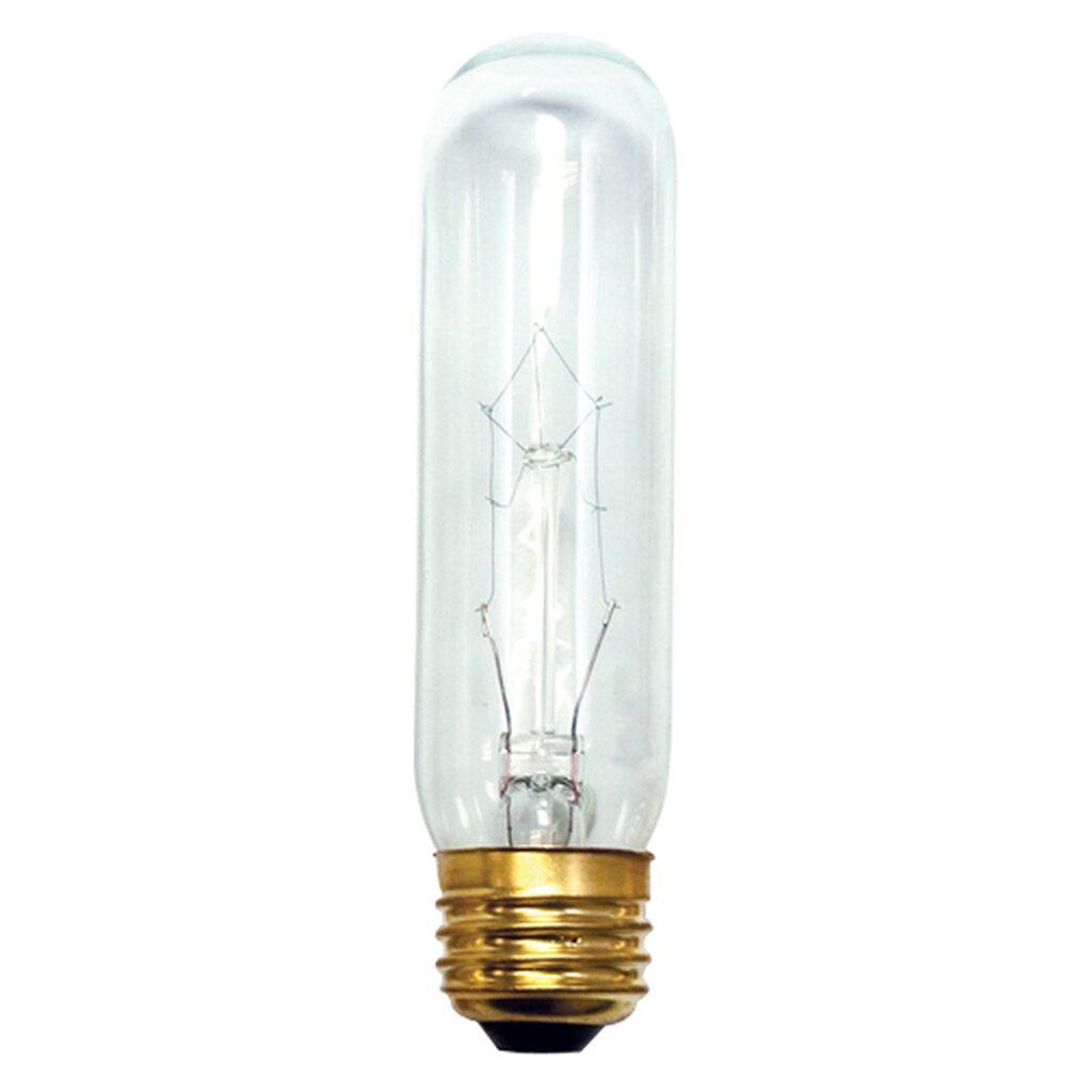 Bulbrite 704160 60W T10 Warm White Incandescent Light Bulb