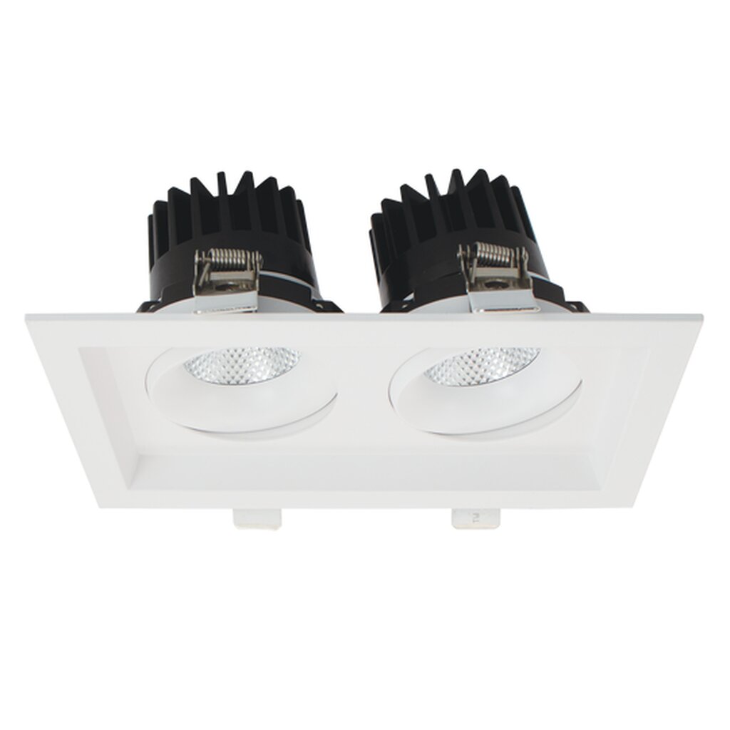Luxrite LR32192 30W LED Two head Gimbal Fixture