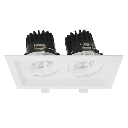 Luxrite LR32192 30W LED Two head Gimbal Fixture