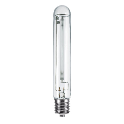 546586 250W HID Light Bulb