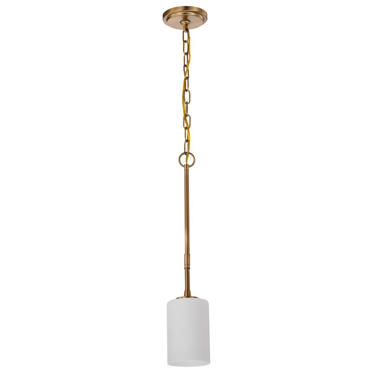 Nuvo 60-8205 Liam, 1 Light Mini Pendant, Burnished Brass