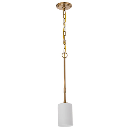 Nuvo 60-8205 Liam, 1 Light Mini Pendant, Burnished Brass