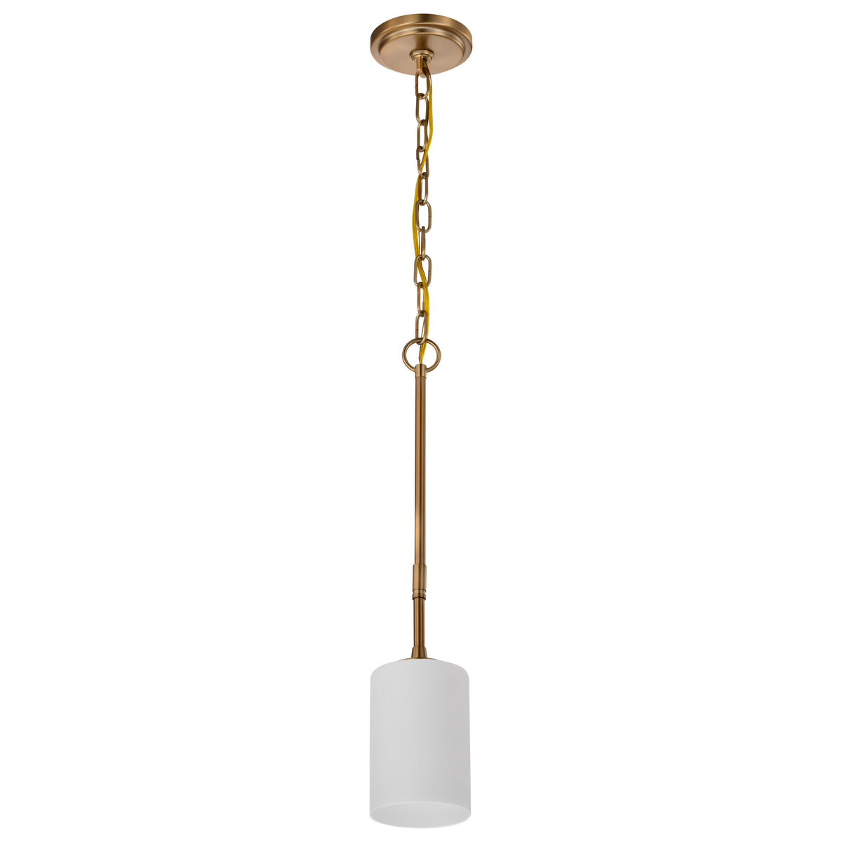 Nuvo 60-8205 Liam, 1 Light Mini Pendant, Burnished Brass