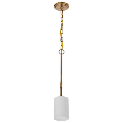 Nuvo 60-8205 Liam, 1 Light Mini Pendant, Burnished Brass