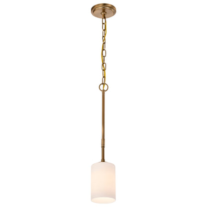 Nuvo 60-8205 Liam, 1 Light Mini Pendant, Burnished Brass