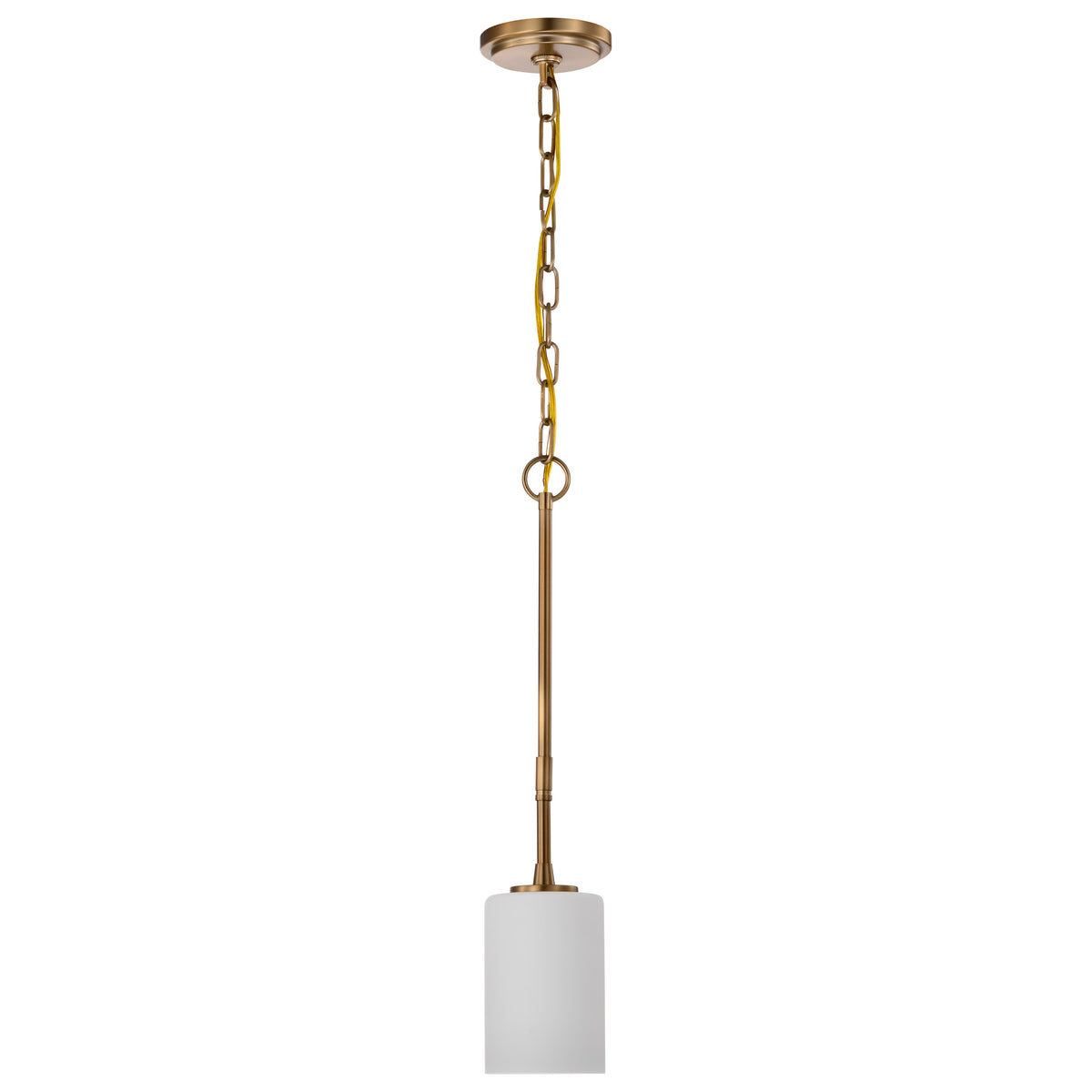 Nuvo 60-8205 Liam, 1 Light Mini Pendant, Burnished Brass