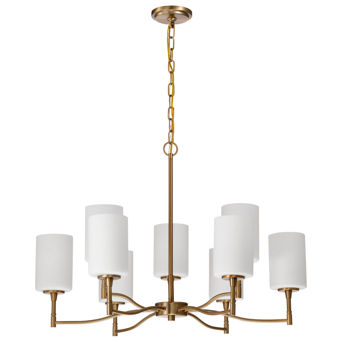 Nuvo 60-8209 Liam, 9 Light Chandelier, Burnished Brass