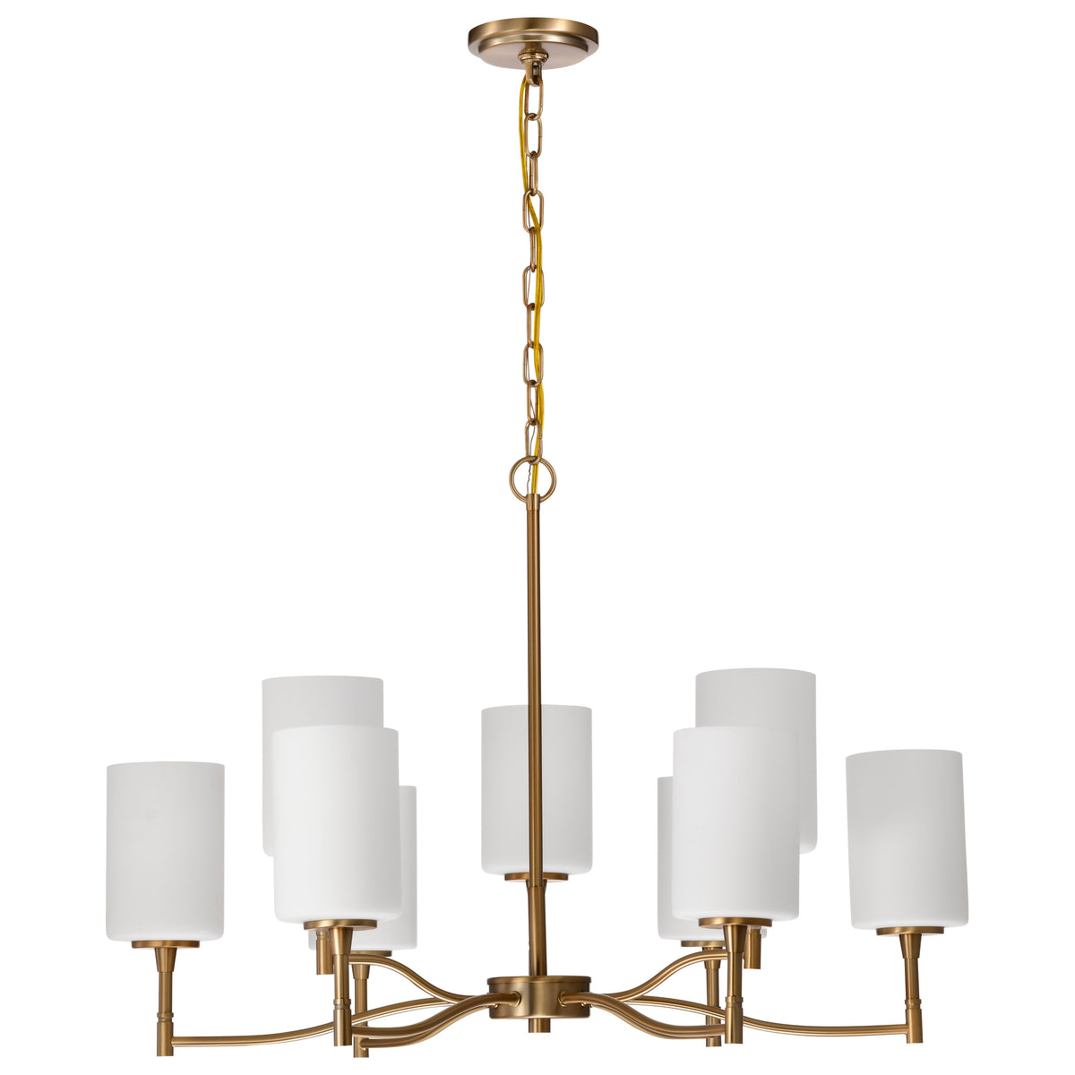 Nuvo 60-8209 Liam, 9 Light Chandelier, Burnished Brass