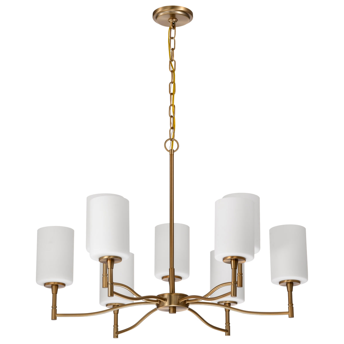 Nuvo 60-8209 Liam, 9 Light Chandelier, Burnished Brass