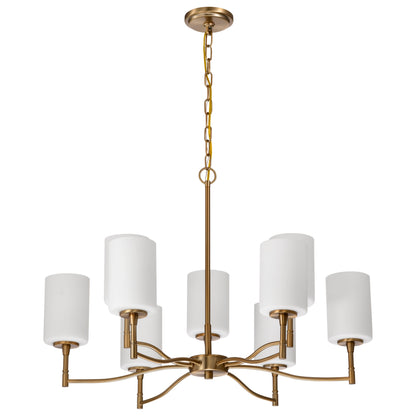Nuvo 60-8209 Liam, 9 Light Chandelier, Burnished Brass