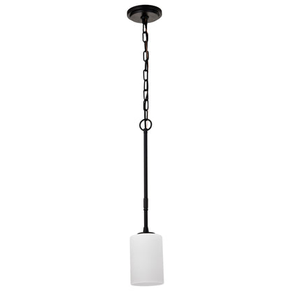 Nuvo 60-8215 Liam, 1 Light Mini Pendant, Matte Black