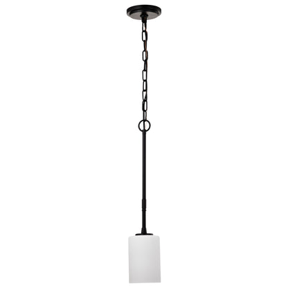 Nuvo 60-8215 Liam, 1 Light Mini Pendant, Matte Black