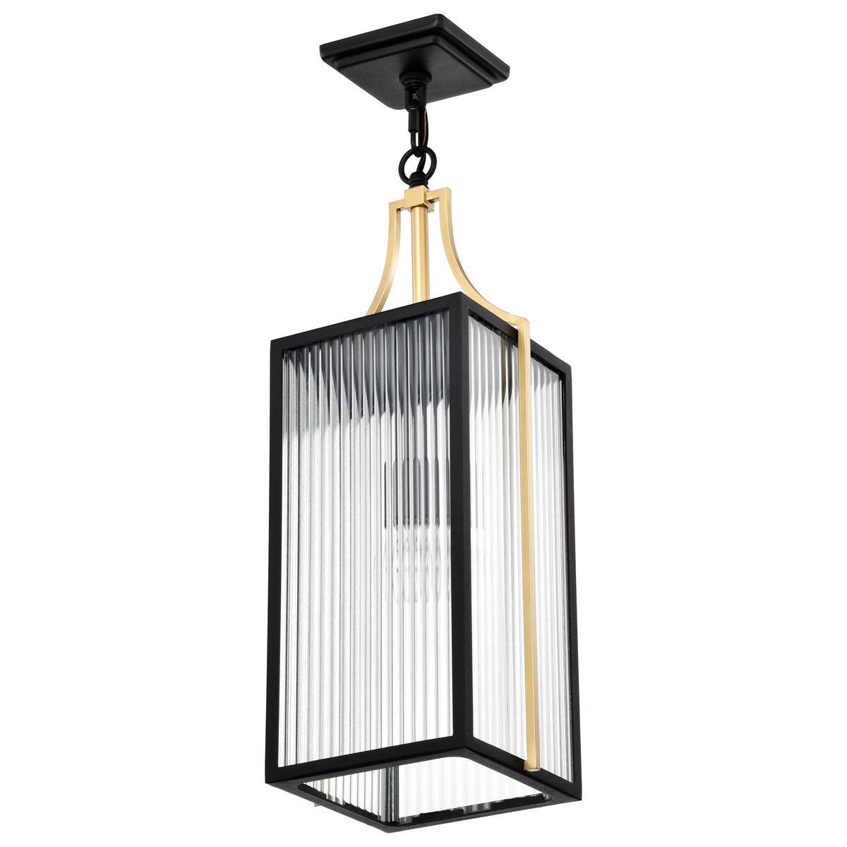 Nuvo 60-8505 Holden, Hanging Pendant, Gold and Black Finish