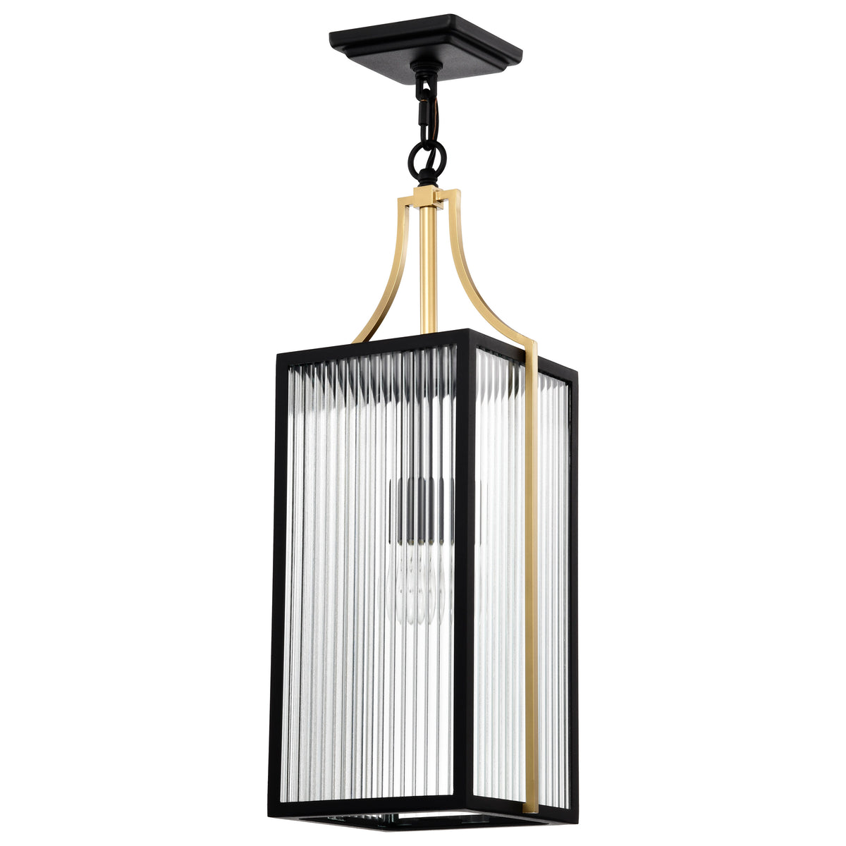 Nuvo 60-8505 Holden, Hanging Pendant, Gold and Black Finish