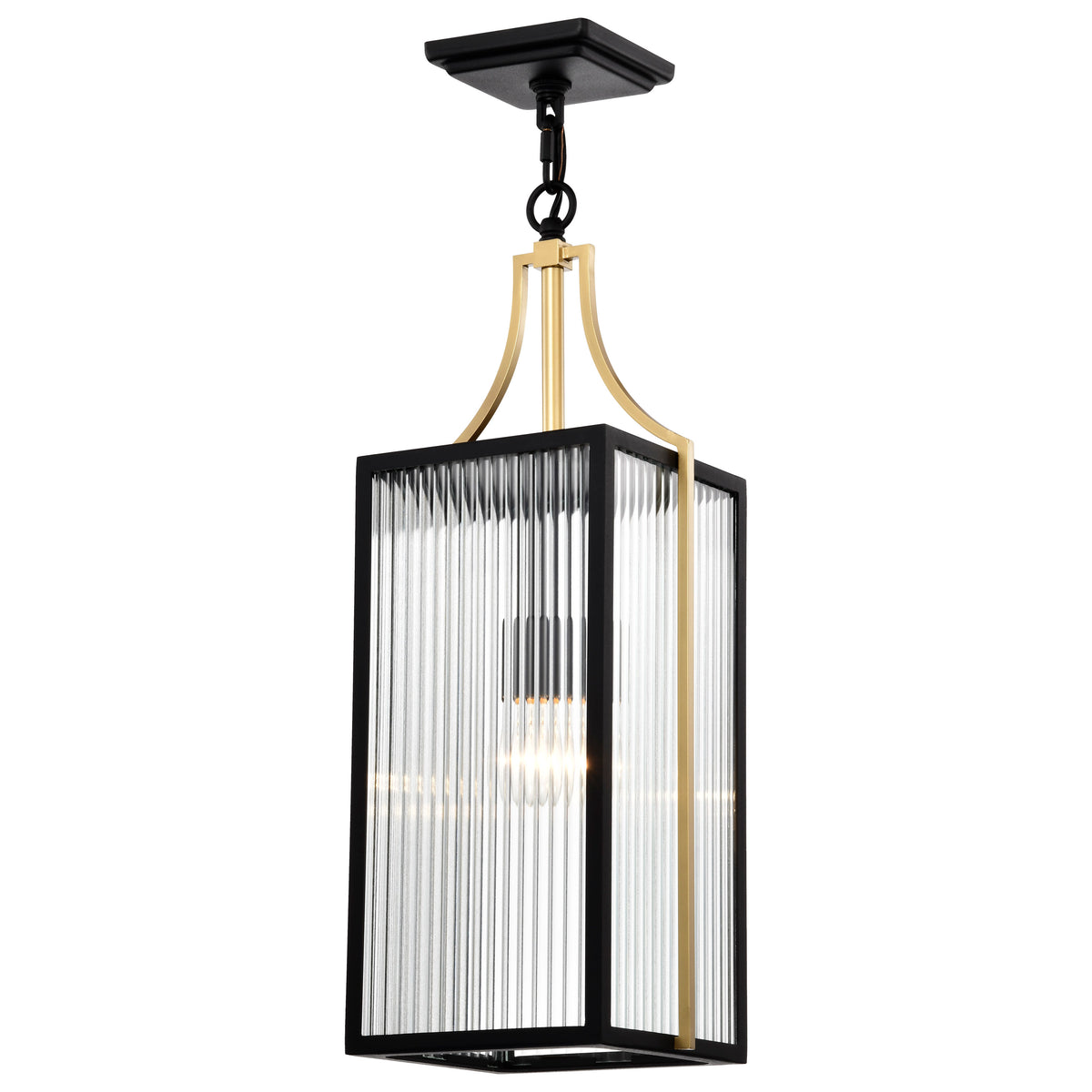 Nuvo 60-8505 Holden, Hanging Pendant, Gold and Black Finish