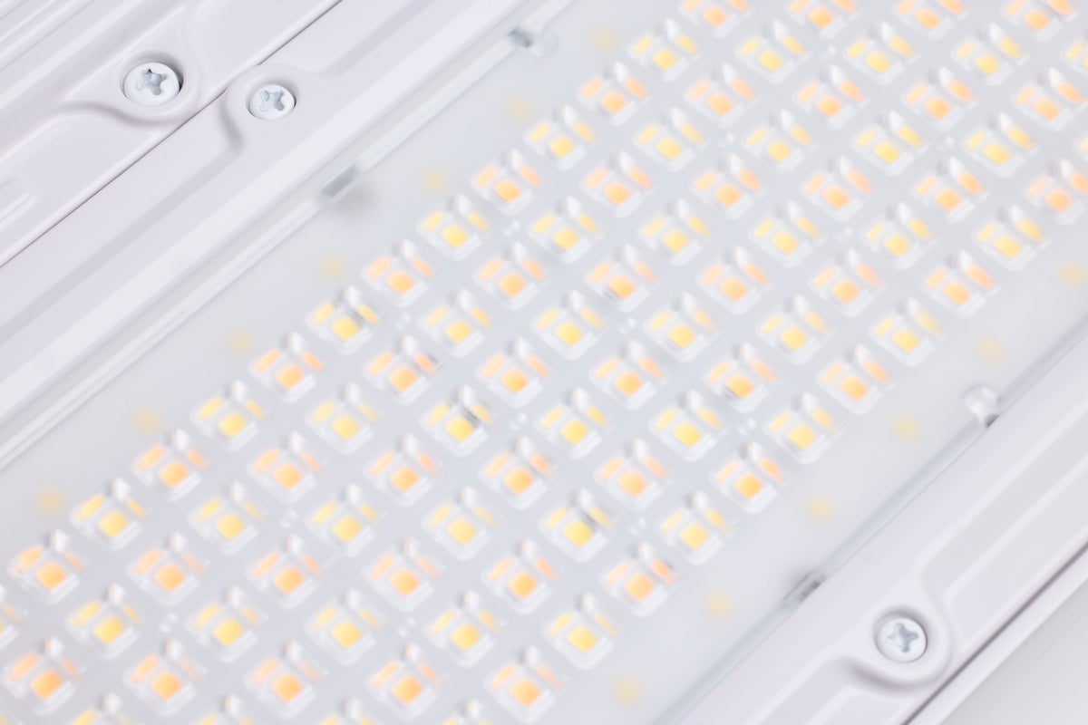Nuvo 65-1171 160/135/120 Watt LED Linear High Bay, 3K/4K/5K CCT, IP69K