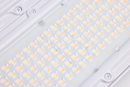 Nuvo 65-1172 240/220/180 Watt LED Linear High Bay, 3K/4K/5K CCT, IP69K