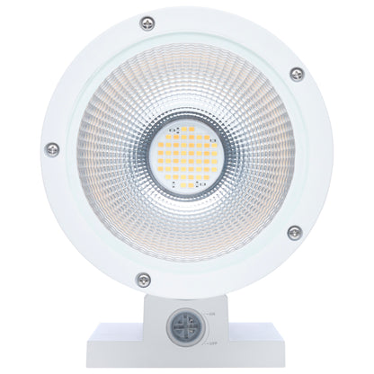 Nuvo 65-1756 20 Watt, 3K/4K/5K CCT Selectable, 1 Light Large Wall Sconce
