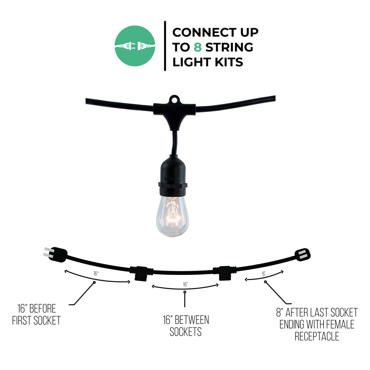 Bulbrite 810006 Bulbrite 14 ft, 10-Socket Decorative Kit with Clear Incandescent STRING10/E26/BLACK-S14KT Indoor and Outdoor String Lights, Foot, Black