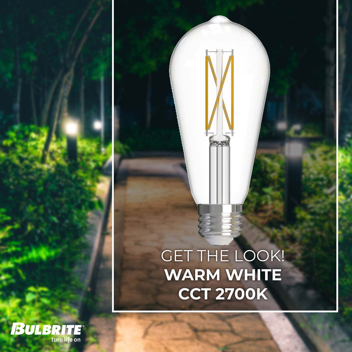 Bulbrite 776223 LED Filament 7.6 Watt Dimmable ST18 Light Bulb with Clear Finish and Medium Screw 2700K E26 Base - 2700K (Warm White Light) 800 lumens
