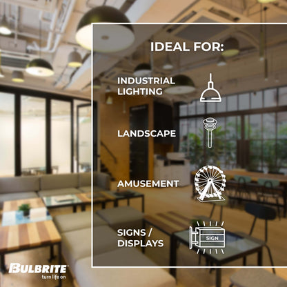 Bulbrite 776223 LED Filament 7.6 Watt Dimmable ST18 Light Bulb with Clear Finish and Medium Screw 2700K E26 Base - 2700K (Warm White Light) 800 lumens