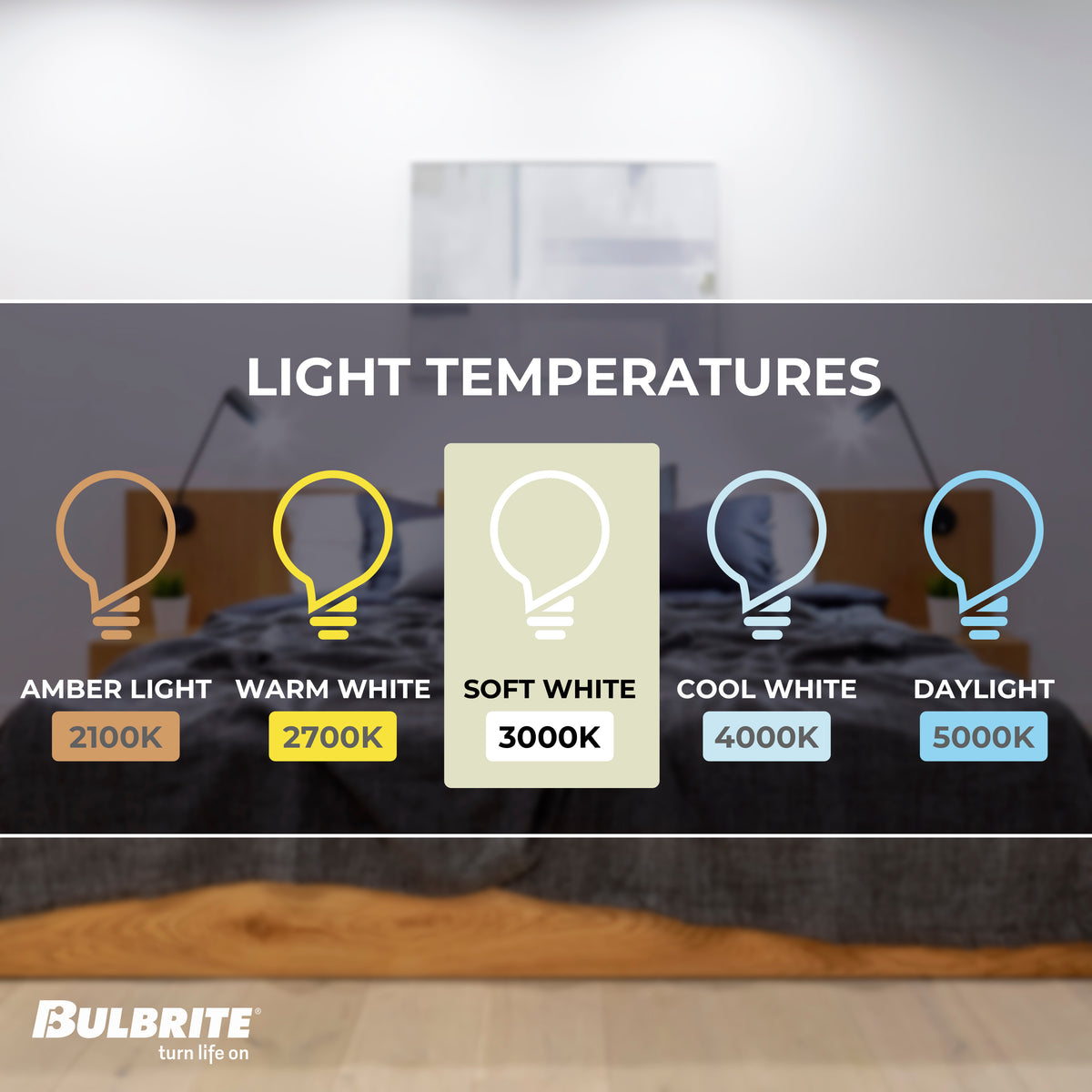 Bulbrite 774258 LED Filament Pack of 25, 9 Watt Dimmable A19 Light Bulb with Frost Finish and Medium Screw E26 Base - 3000K (Soft White Light) 800 lumens