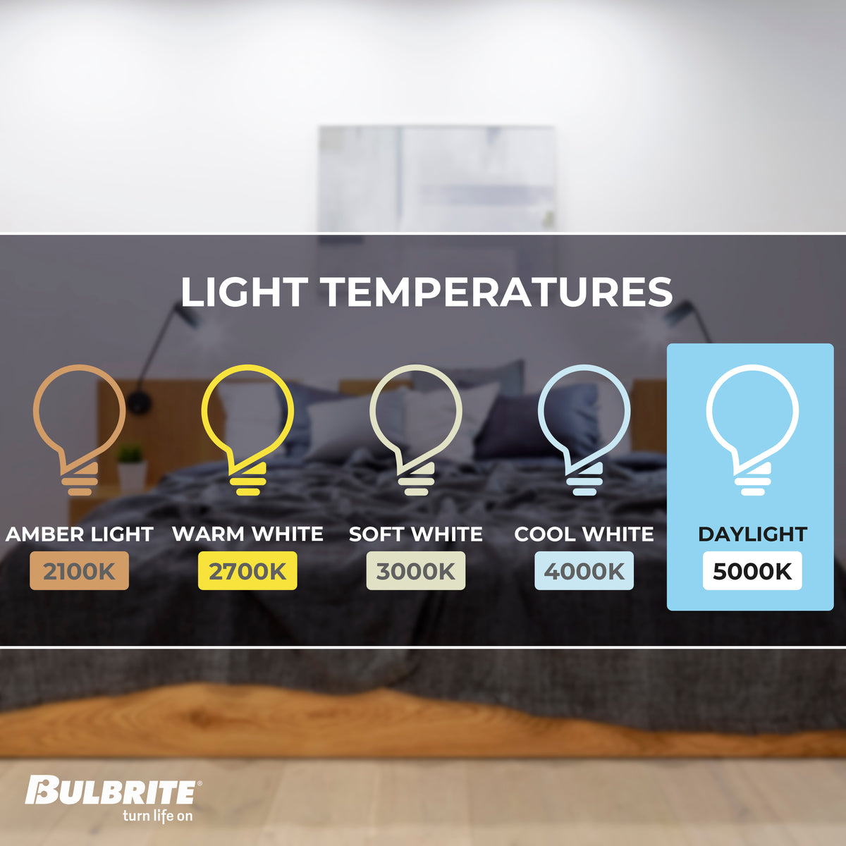 Bulbrite 774265 LED Filament 9 Watt Dimmable A19 Light Bulb with Frost Finish and Medium Screw E26 Base - 5000K (Soft Daylight Light) 800 Lumens